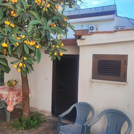 Little Lucia Apartment Acilia Ngoại thất bức ảnh